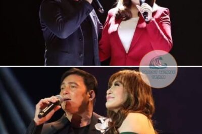 Gabby Concepcion shocked everyone when he gave Sharon Cuneta a ring on stage during the Dear Heart concert in Honolulu. What was the meaning behind it?