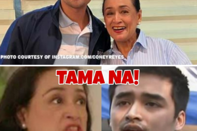 Coney Reyes nearly lost her composure in anger! Vico Sotto is deeply hurt!/lo