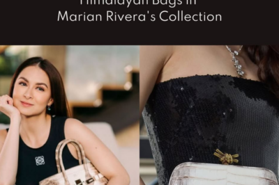 All the Rare Himalayan Bags in Marian Rivera’s Collection